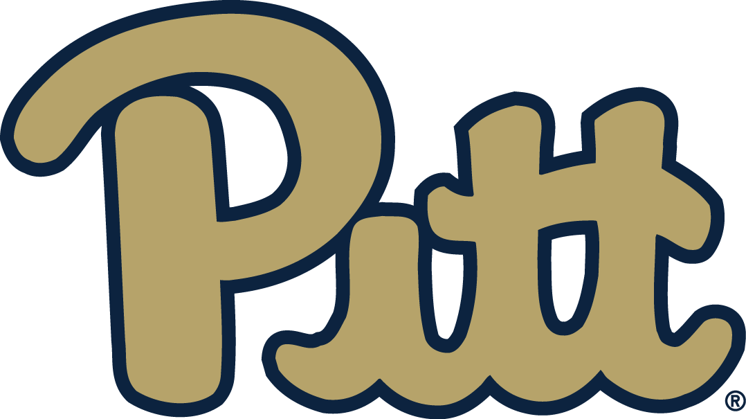 Pittsburgh Panthers 2016-2018 Alternate Logo iron on transfers for T-shirts